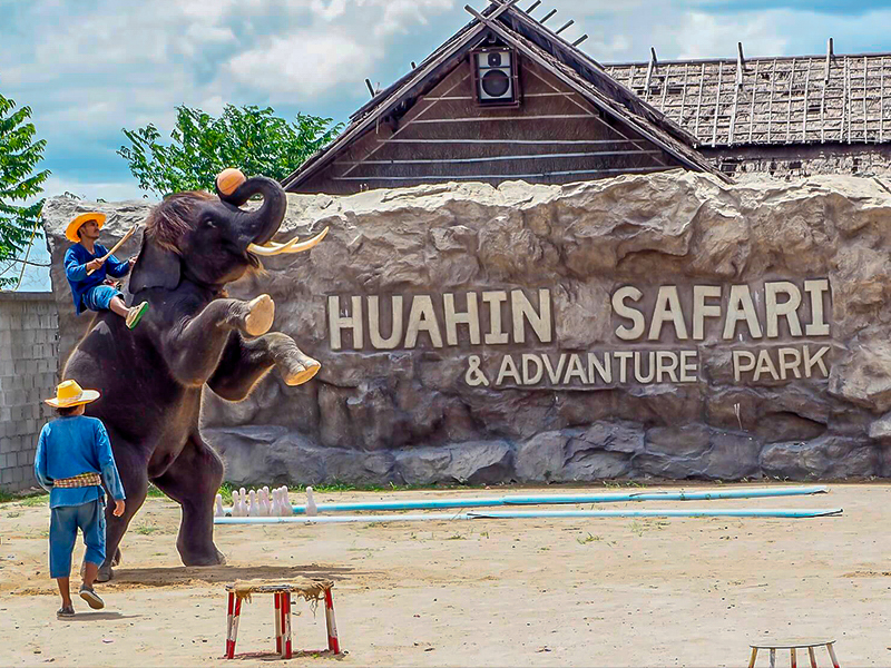 safari world hua hin